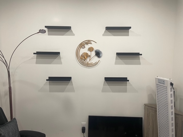shelves mounted on wall